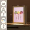 Lolly - Snoep - Citrus Light Box met kabel (Tafellamp) klein -USP_NL