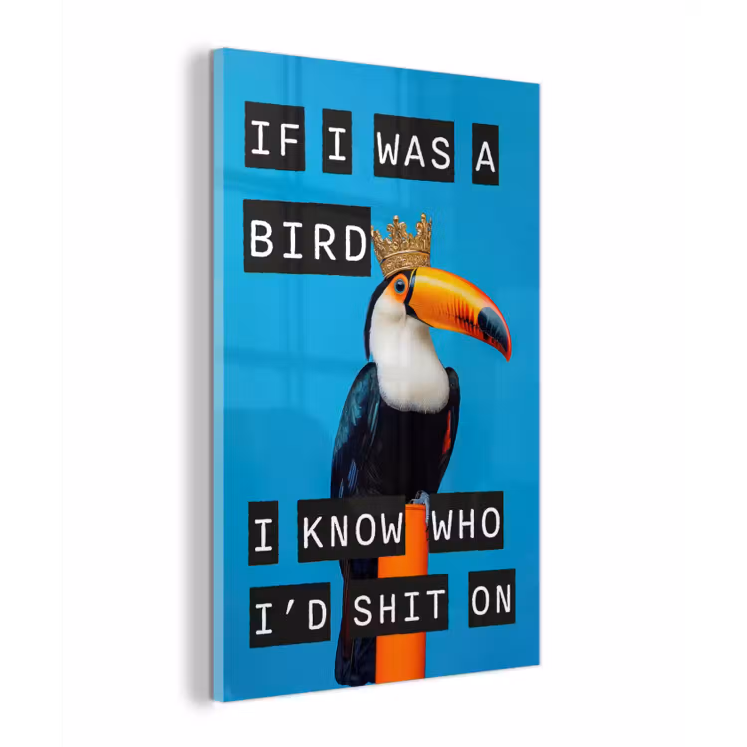 Glas schilderij - Vogel - Toekan - Blauw - Quotes