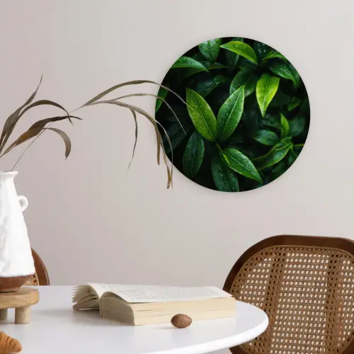 Bladeren - Regendruppels - Licht - Groen Wandcirkel kunststof plaat 5mm dik klein -sfeer4