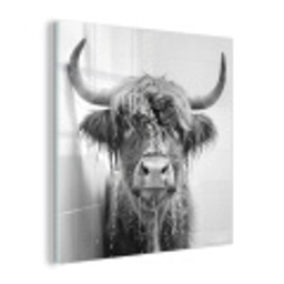 Schotse Hooglander - Dier - Douche - Humor plexiglas 5mm klein -z3d