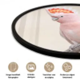 Papagaai - Tak - Roze Fotolijst rond zonder passe partout klein -closeup_NL