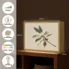 Tak - Groene Bladeren - Vruchten Light Box met batterij (Wandlamp) middel -USP_websiteoverzichtNL