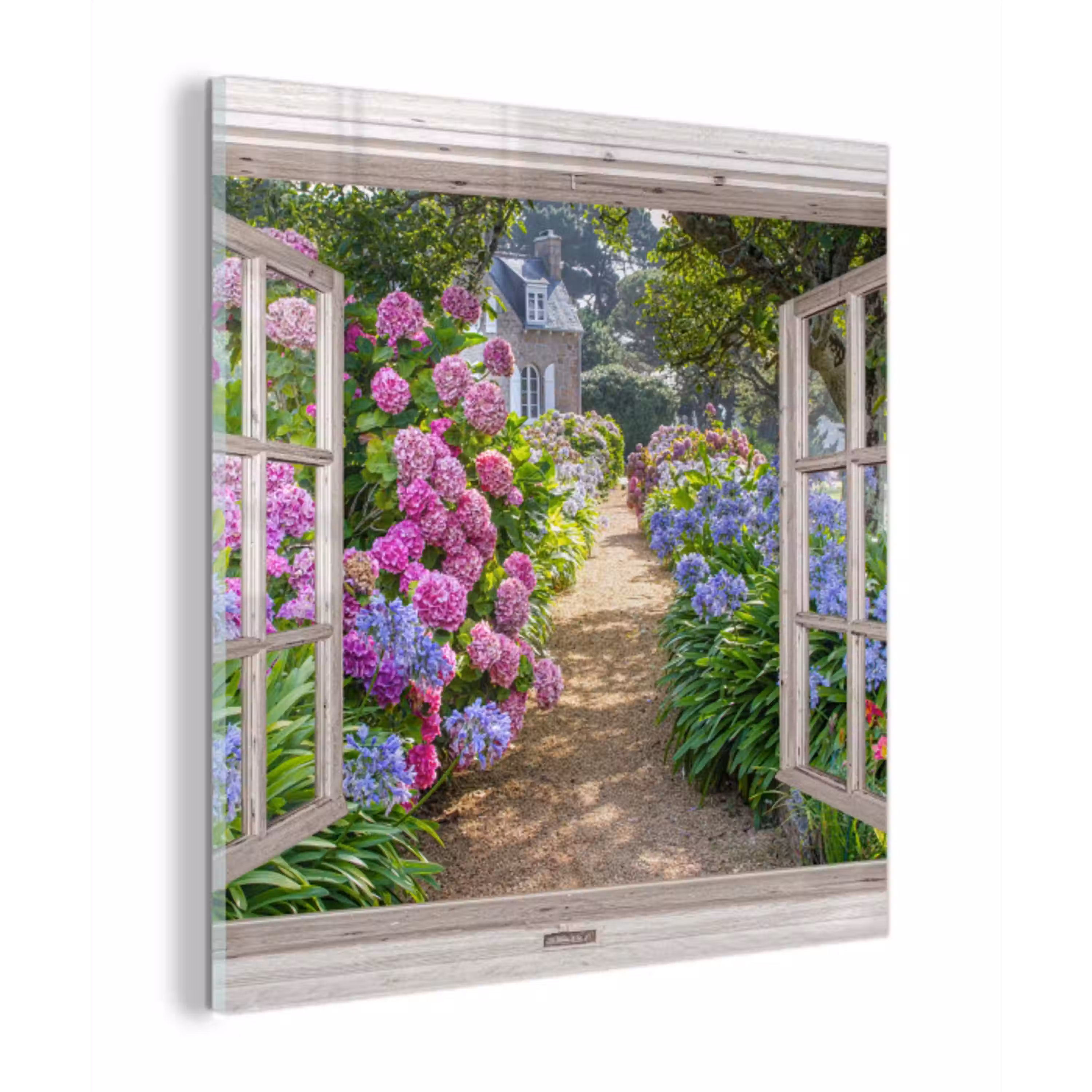 Hortensia - Doorkijk - Bloemen - Zomer - Paars - Pad plexiglas 5mm klein -z3d