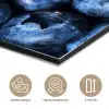 Bessen - Blauw - Fruit aluminium wit klein -closeup_NL