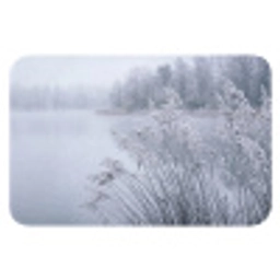 Riet - Bevroren - Winter - Natuur Badmat klein -3d