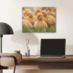 Pijltje - Eend - Natuur - Geel PET vilt klein -sfeer5