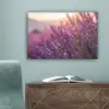 Lavendel - Paars - Zonlicht canvas 2cm klein -sfeer4