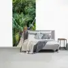 Jungle - Palmboom - Brug - Natuur - Planten fotobehang vinyl groot -slaapkamer