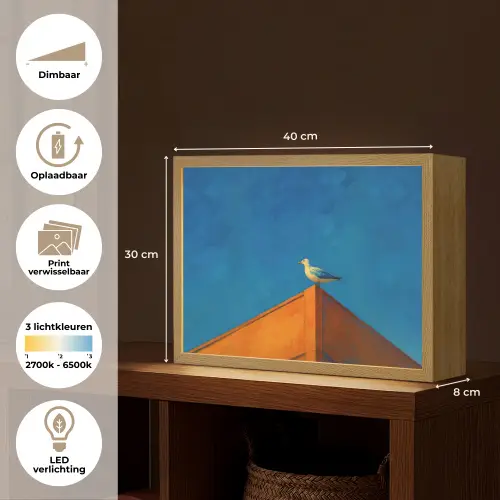 Meeuw - Gebouw - Lucht - Geschilderd Light Box met batterij (Wandlamp) middel -USP_websiteoverzichtNL