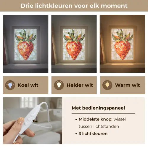 Aardbei - Rood - Mozaïek - Fruit Light Box met kabel (Tafellamp) klein -USP_lichtkleurNL