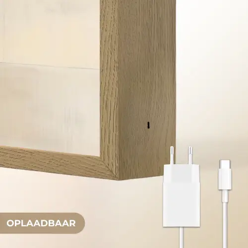 Boom - Vlakken - Takken - Kleurverloop Light Box met batterij (Wandlamp) middel -USP_websiteoplaadbaarNL