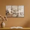 Bloesem - Beige - Abstract - Bloemen Canvas - Meerluiken 3 luik klein -sfeer5
