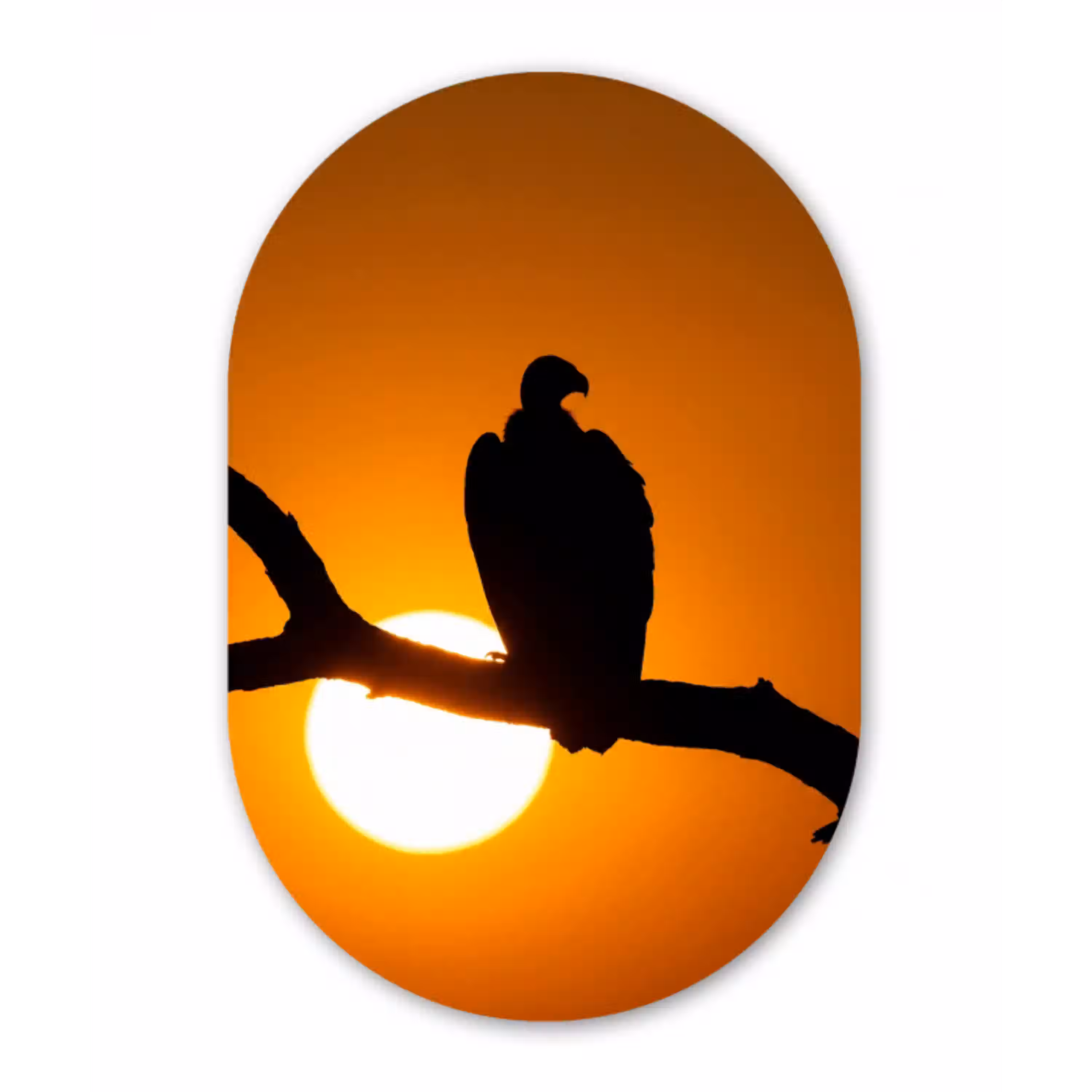 Gier - Tak - Zon - Oranje Wandcirkel Ovaal Aluminium middel -3d
