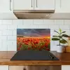 Zonsondergang - Klaprozen - Rood - Bloemen - Veld - Natuur keuken achterwand spatscherm klein -sfeer2
