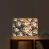 Aap - Dieren - Bruin - Design - Meiden - Jongens Light Box met batterij (Wandlamp kind) middel -sfeer1_kind
