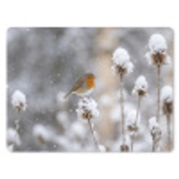 Roodborstje - Gedroogde bloem - Sneeuw - Winter - Vertederend muismat rubber klein -3d