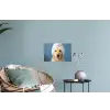 Hond - Badeend - Geel Muursticker klein -plant