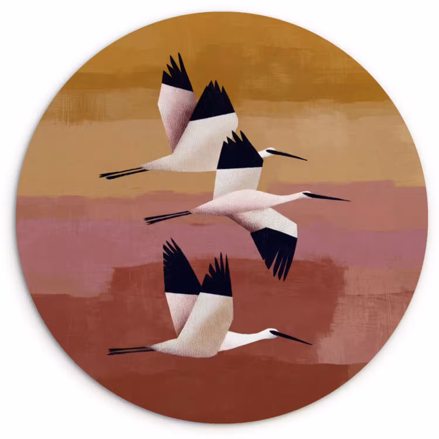 Muurcirkel - Vogels - Snavel - Abstract