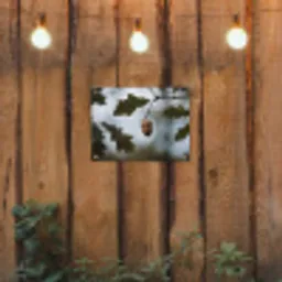 Eikel - Eikenblad - Bos - Herfst - Natuur tuinposter los doek klein -sfeer1