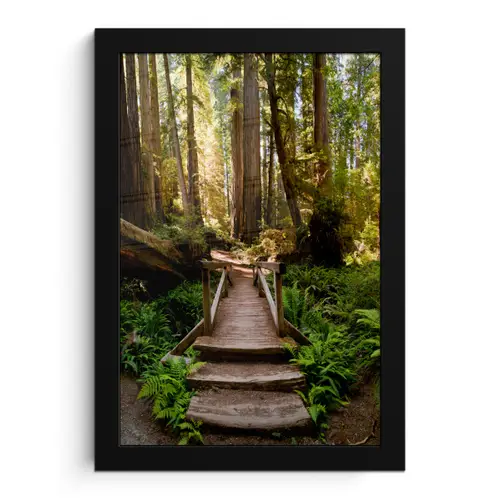 Jungle - Natuur - Trap - Bomen fotolijst zwart zonder passe partout klein -3d