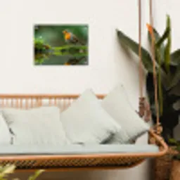 Roodborstje bij het Water tuinposter los doek klein -sfeer7