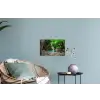 Jungle - Waterval - Planten - Water - Natuur Muursticker klein -plant