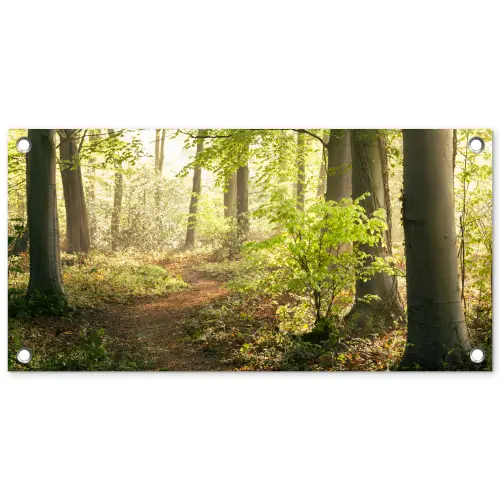 Bospad bij zonsopgang tuinposter los doek klein -3d