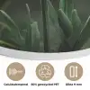 Bloem - Narcis - Gras - Geel Akoestische PET Vilt - Rond klein -closeup_NL
