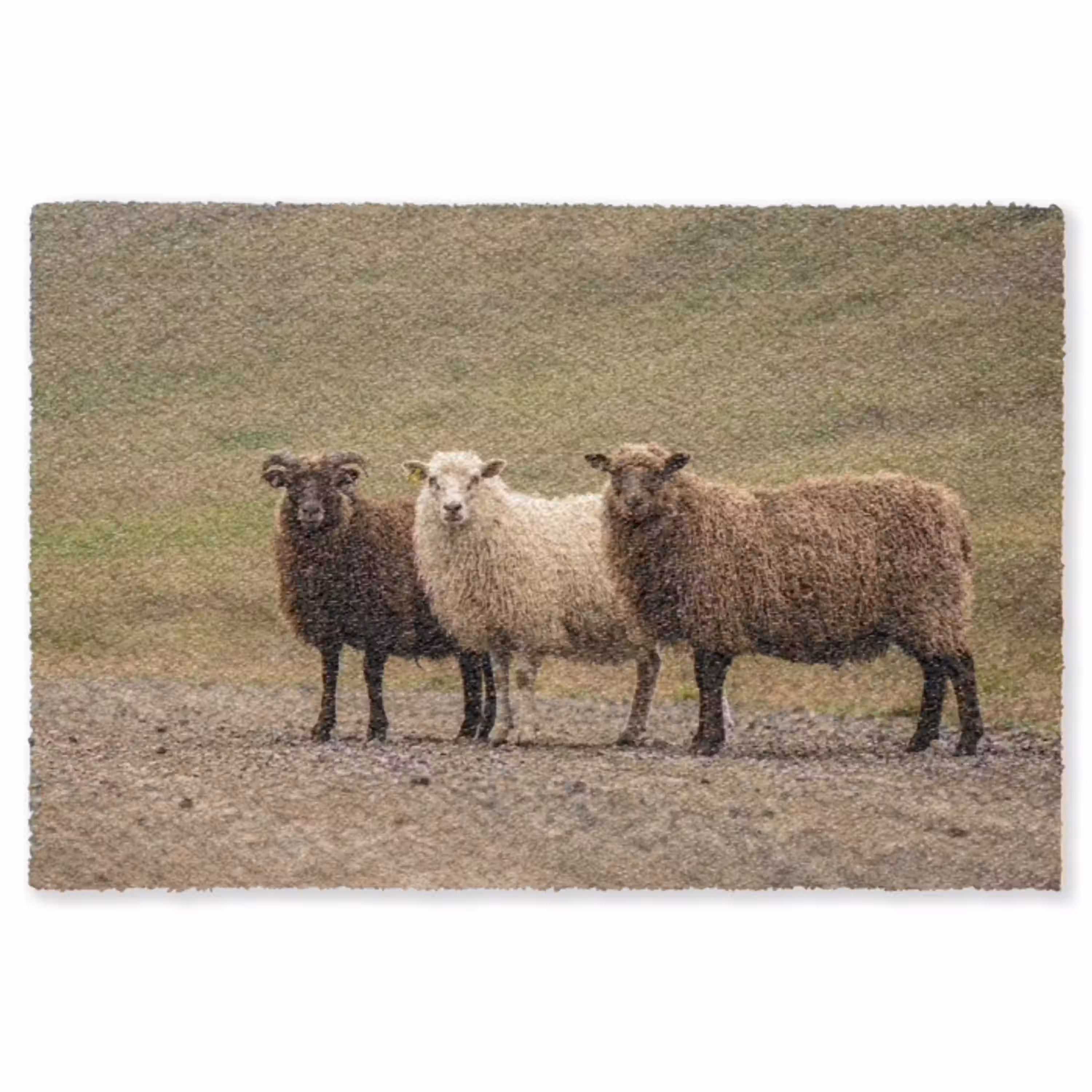 Schapen - Bruin - Wit - Grindpad Vloerkleed Rechthoek klein -3d