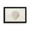 Schelp - Minimalistisch - Wit fotolijst zwart zonder passe partout klein -3d