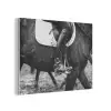 Paard - Sport - Zwart - Wit PET vilt klein -3d