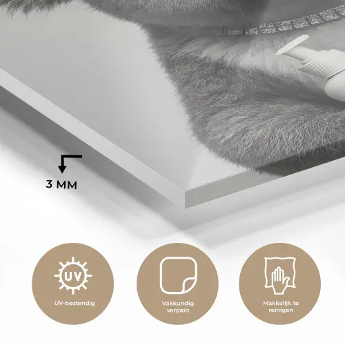 Koala - Bril - Toilet plexiglas 5mm klein -sfeer2
