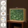 Groen - Bladeren - Kartel - Zonlicht Light Box met batterij (Wandlamp) middel -USP_websiteoverzichtNL