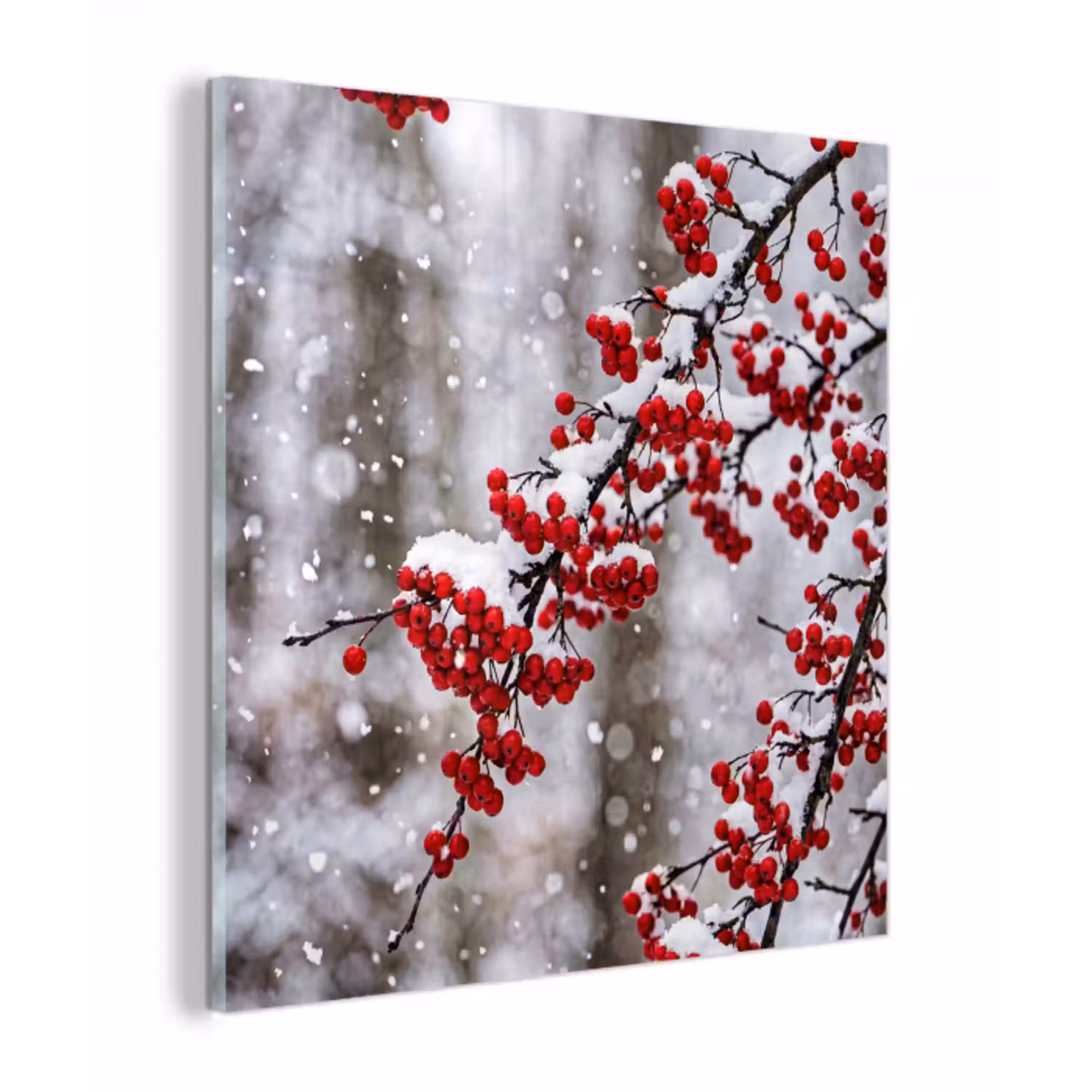 Bessen - Takken - Sneeuw - Winter - Kleurrijk plexiglas 5mm klein -z3d