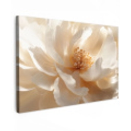 Close up - Pioenroos - Wit Tuinposter op houten frame 2 cm dik klein -3d