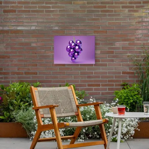 Druif - Disco - Glitter - Paars Tuinposter op houten frame 2 cm dik klein -sfeer3