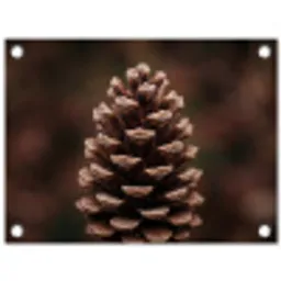 Dennenappel - Bos - Herfst - Bruin - Sfeervol tuinposter los doek klein -3d