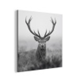 Hert - Mistig - Zwart - Wit aluminium wit klein -3d