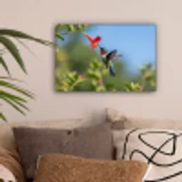 Kolibrie - Bloem - Natuur - Groen canvas 2cm klein -sfeer1