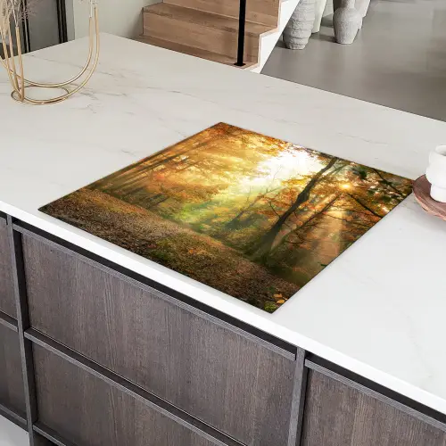 Bos - Herfst - Zon - Landschap - Natuur - Bomen - Bladeren Inductie beschermer vinyl 3mm middel -sfeer8
