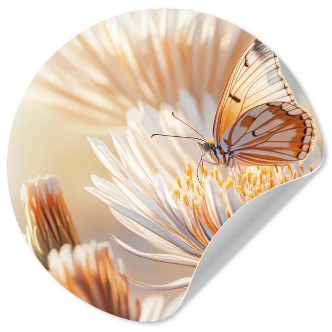 Behangcirkel - Vlinder - Bloem - Oranje