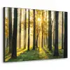 Bos - Zon - Bomen - Gras - Landschap  - Natuur Textielframe zwart klein -3d