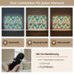 Teckels - Zwembad - Kleurrijk Light Box met batterij (Wandlamp) middel 907 -USP_lichtkleurDE