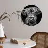 Schotse Hooglander - Horens - Zwart - Wit - Koe - Wild - Dieren Wandcirkel behangsticker klein -sfeer3