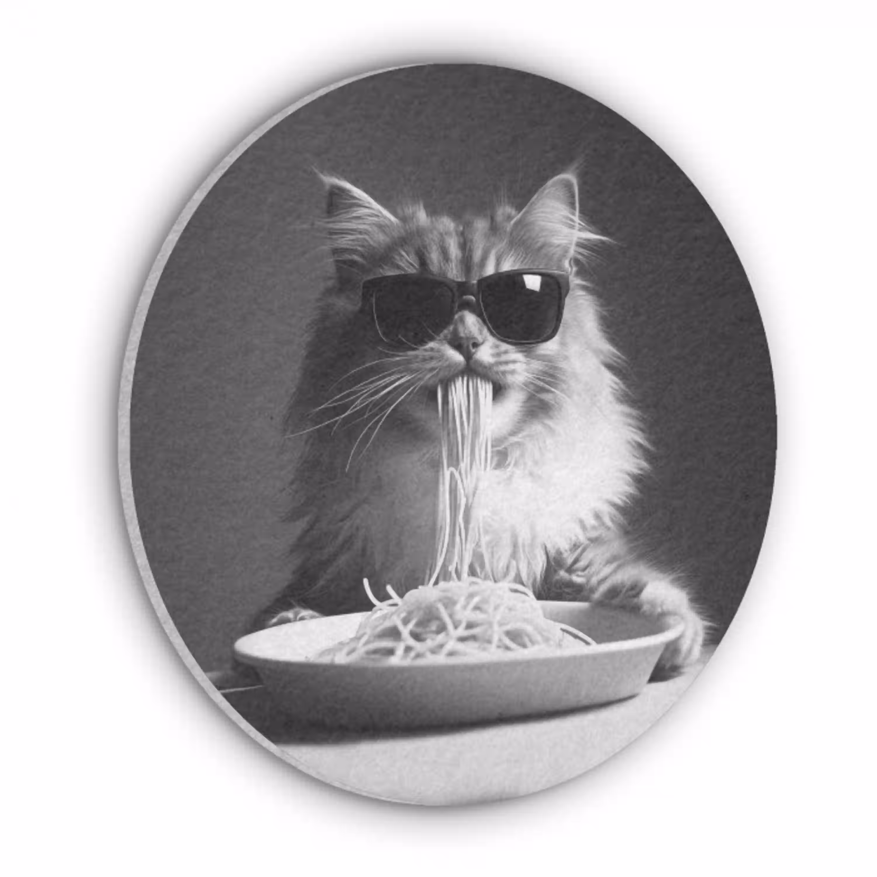 Langharige kat - Zonnebril - Spaghetti - Humor - Zwart - wit Akoestische PET Vilt - Rond klein -3d