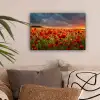 Zonsondergang - Klaprozen - Rood - Bloemen - Veld - Natuur canvas 2cm klein -sfeer1