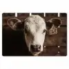 Kalf - Oormerk - Houten stal Placemat vinyl groot -zzsfeer1_Kitchenyeah-website