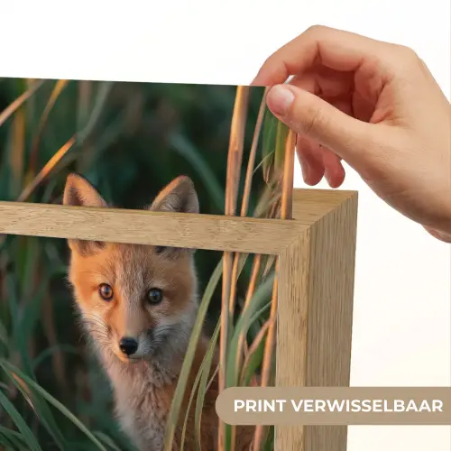 Vos - Oranje - Gras Light Box met kabel (Kinderlampje) klein -USP_websiteprintNL