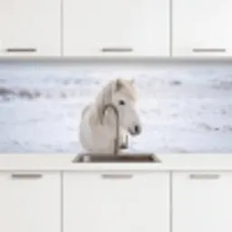 Paard - Kop - Winter - Dieren - Wit keuken achterwand 2 middel -3d