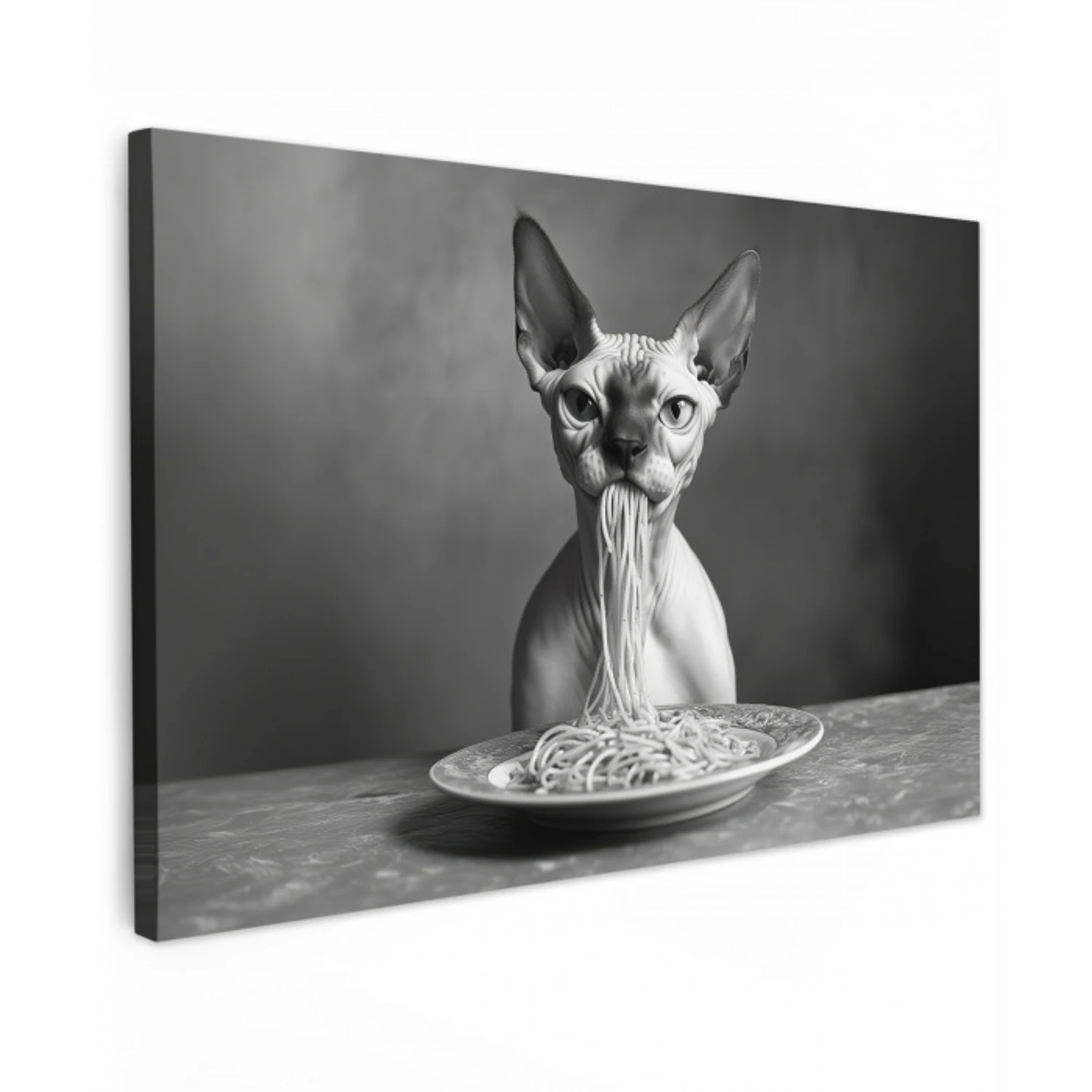 Sphynx - Kat - Dieren - Humor - Spaghetti - Zwart Wit Tuinposter op houten frame 2 cm dik klein -3d